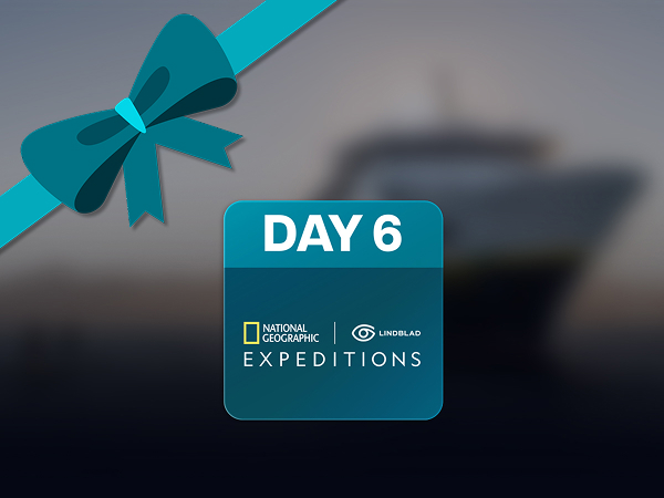 T015565_Perk_NatGeo_Web_EN_PreReveal_600x450